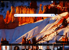 Search.msn.com thumbnail