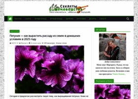 Sekreti-domovodstva.ru thumbnail