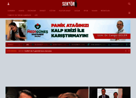 Sektorgazetesi.com.tr thumbnail