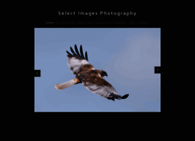 Selectimagesphotography.co.uk thumbnail