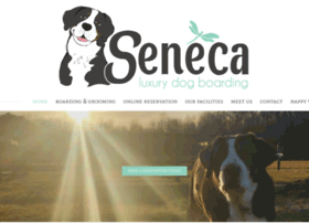 Senecapetcare.com thumbnail