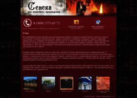 Seneka-vl.ru thumbnail