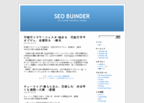 Seobinder.net thumbnail