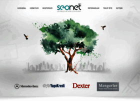 Seonet.com.tr thumbnail