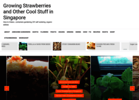 Sgstrawberries.com thumbnail