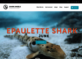 Sharkangels.org thumbnail