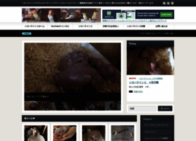 Shiroharainko.org thumbnail Shiroharainko.org thumbnail