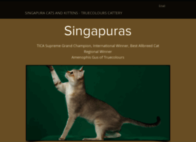 Singapura-cats-truecolours.com thumbnail