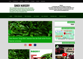 Sinoxnursery.com thumbnail