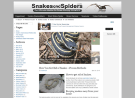 Snakesandspiders.com thumbnail