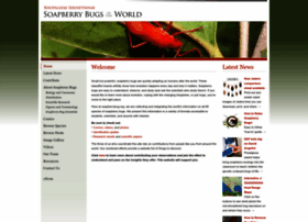 Soapberrybug.org thumbnail