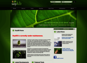 Soykb.org thumbnail