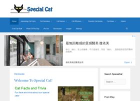 Specialcat.com thumbnail