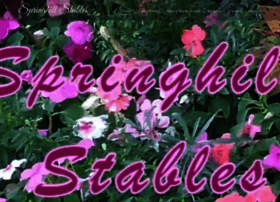 Springhill-stables.com thumbnail