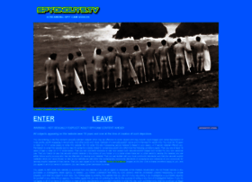 Spyonguys.com thumbnail