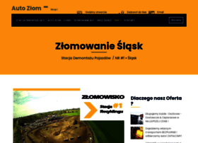Stacjademontazuaut.pl thumbnail