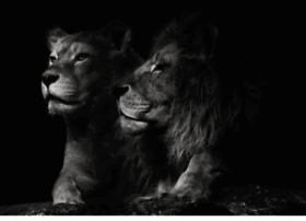 Star-inc.co thumbnail