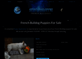 Stargatefrenchbulldogs.com thumbnail