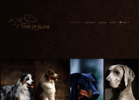 Starofelune.com thumbnail