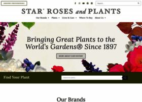 Starrosesandplants.com thumbnail