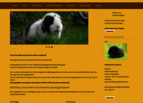 Stichtingcavia.com thumbnail