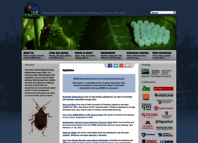 Stopbmsb.org thumbnail