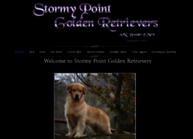 Stormypointgoldens Com At Wi Stormy Point Goldens In Stafford Va Akc Goden Retrievers