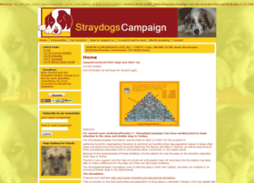 Straydogscampaign.com thumbnail