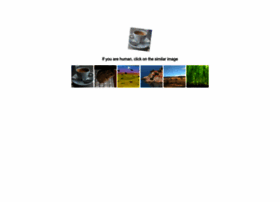 Student-essay.com thumbnail