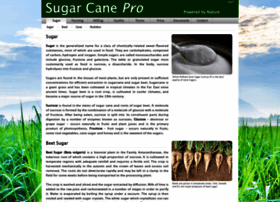 Sugarcanepro.com thumbnail