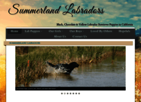 Summerlandlabradors.com thumbnail