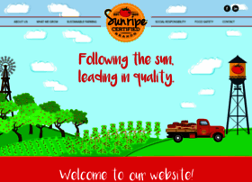 Sunripecertified.com thumbnail