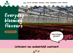 Svco.nl thumbnail