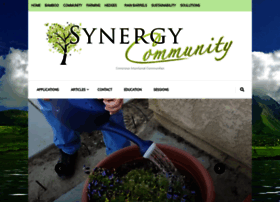 Synergycommunity.com thumbnail