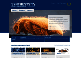 Synthesys.info thumbnail