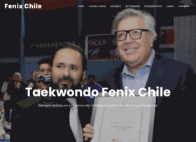 Taekwondofenixchile.cl thumbnail