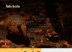 Tatubola.org.br thumbnail