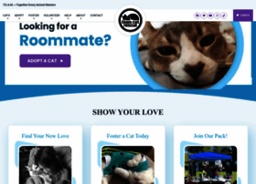 Teamcatrescue.ca thumbnail