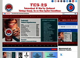 Tes-is2.org.tr thumbnail