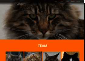 The-cat.ch thumbnail