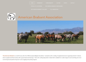 Theamericanbrabantassociation.net thumbnail Theamericanbrabantassociation.net thumbnail