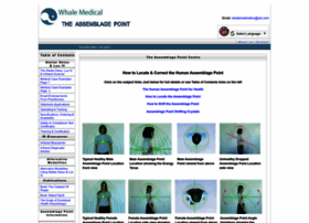 Theassemblagepoint.com thumbnail