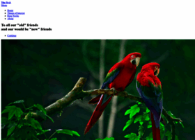Thebeak.net thumbnail