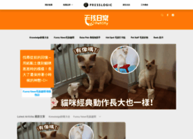 Thecatcity.com thumbnail