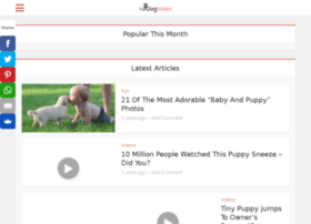 Thedogvalley.com thumbnail