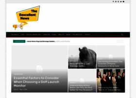 Theexcellentnews.com thumbnail