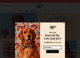 Thefoggydog.com thumbnail