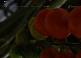 Thegreenmast.com thumbnail Thegreenmast.com thumbnail