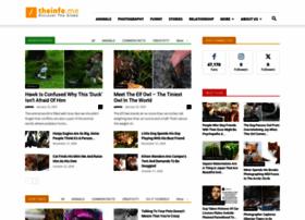 Theinfo.me thumbnail Theinfo.me thumbnail