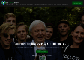 Theperfectworld.com thumbnail